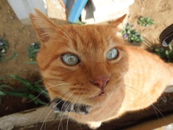 20260228-01